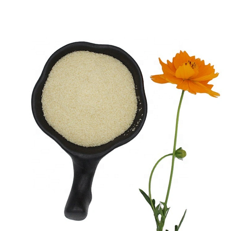 Bulk Halal Bovine Food Grade Gelatin Powder for Meat